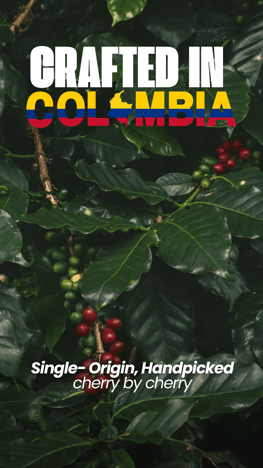 coffee crafted in Colombia